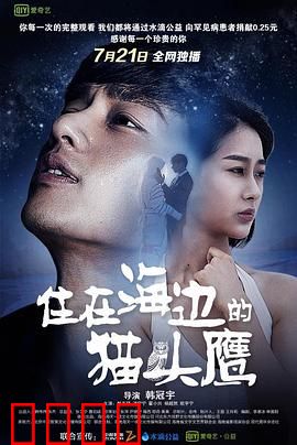 住在海边的猫头鹰：孤独守望者