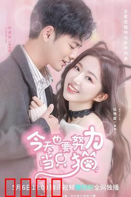 今天也要努力当只猫：萌猫逆袭记