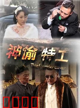 神偷特工：终极追猎