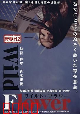 青春H2之狂野之花：叛逆少女的觉醒之路