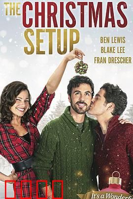 圣诞速配：意外中的真爱