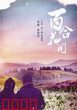 《百合花开》：暗恋终成芳华
