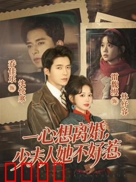 一心想离婚，少夫人她不好惹：霸道总裁追妻