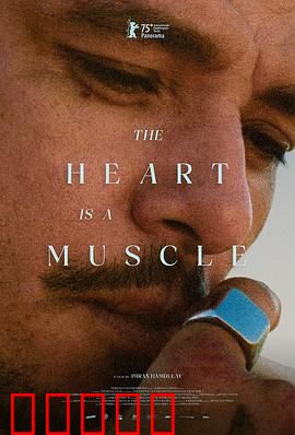 心如肌理：爱恨交织的真相