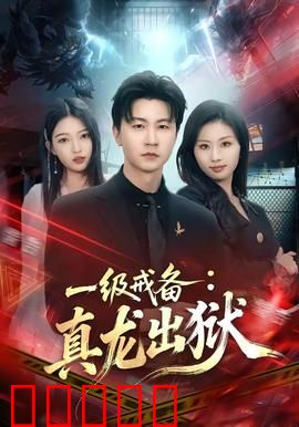 一级戒备：绝密追凶